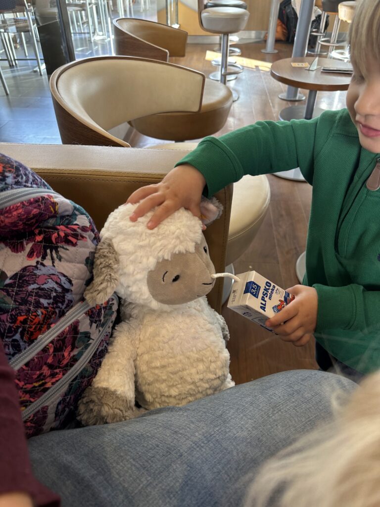 Toddler boy feeding stuffed lamb